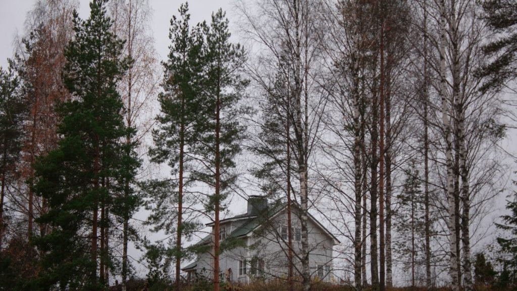 landscape photography of green-leaved trees