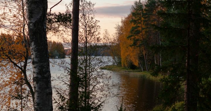 lakeshore and forest at autumn sunrise